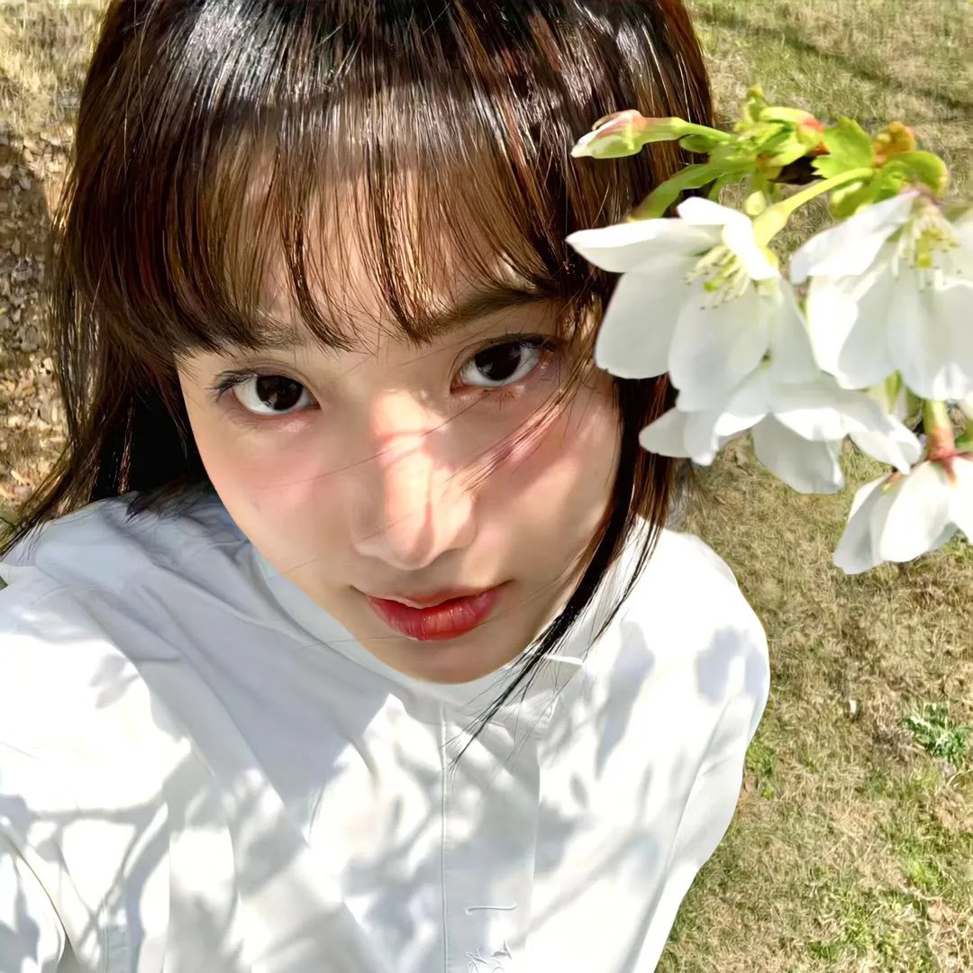 蜂巢的幽灵