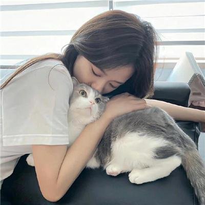 叠影惊情